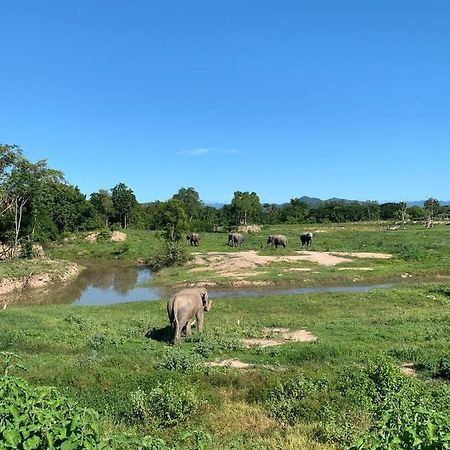 I Love Phants Lodge Ban Huai Thawai Εξωτερικό φωτογραφία