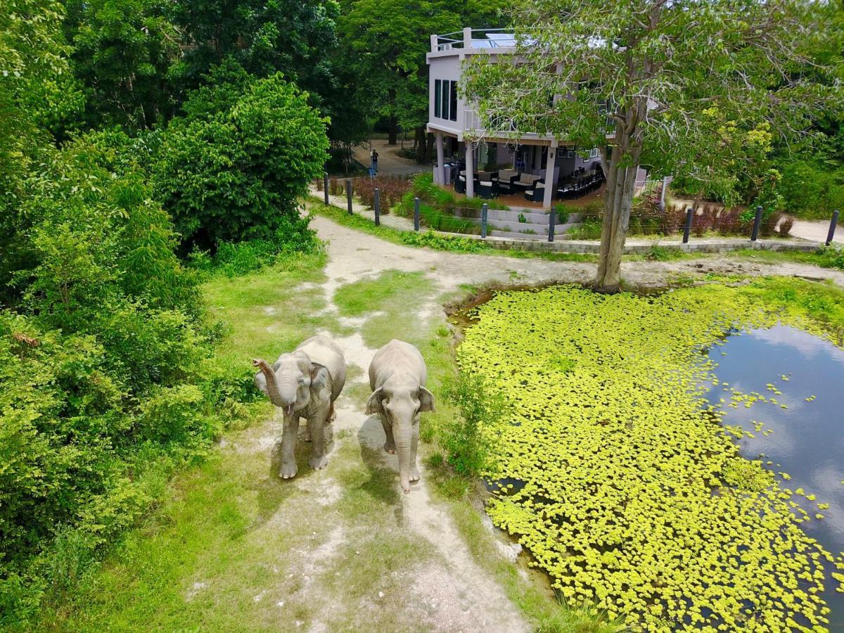 I Love Phants Lodge Ban Huai Thawai Εξωτερικό φωτογραφία