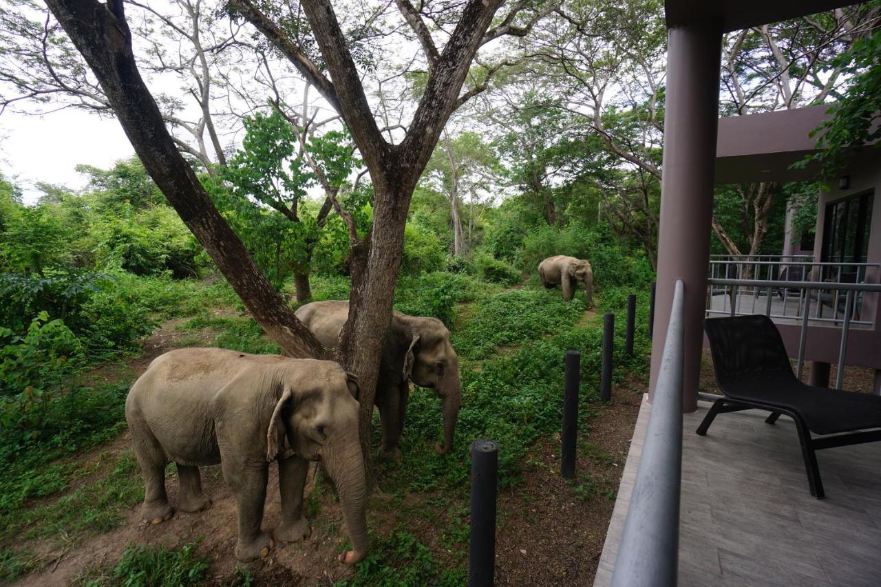 I Love Phants Lodge Ban Huai Thawai Εξωτερικό φωτογραφία
