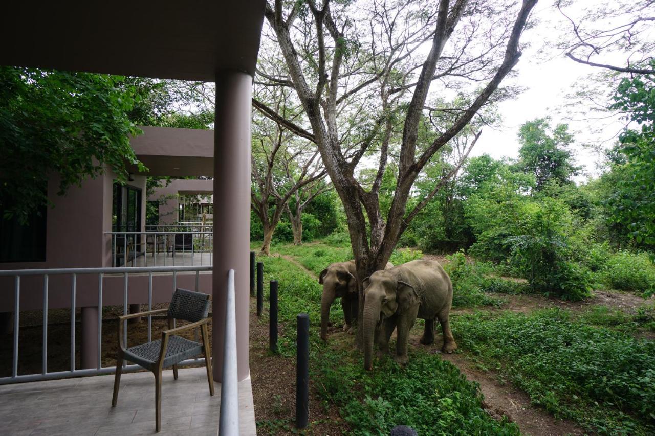 I Love Phants Lodge Ban Huai Thawai Εξωτερικό φωτογραφία