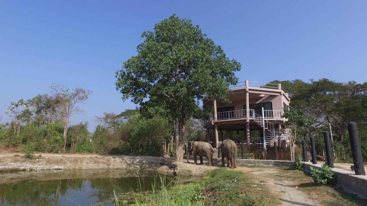 I Love Phants Lodge Ban Huai Thawai Εξωτερικό φωτογραφία