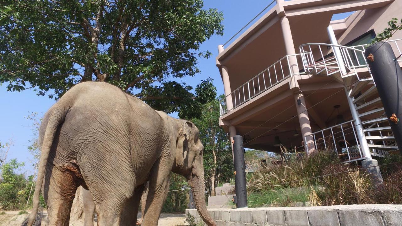 I Love Phants Lodge Ban Huai Thawai Εξωτερικό φωτογραφία