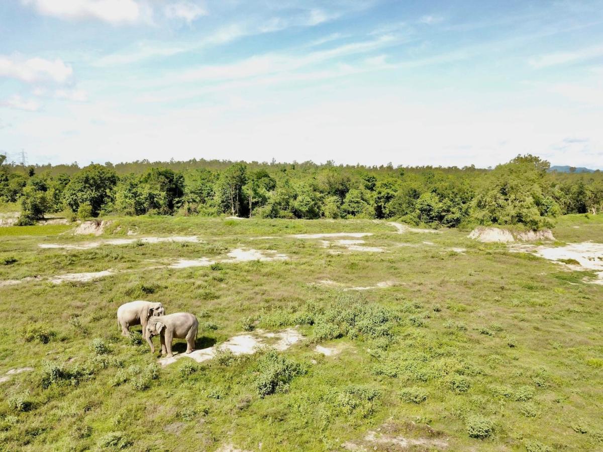 I Love Phants Lodge Ban Huai Thawai Εξωτερικό φωτογραφία