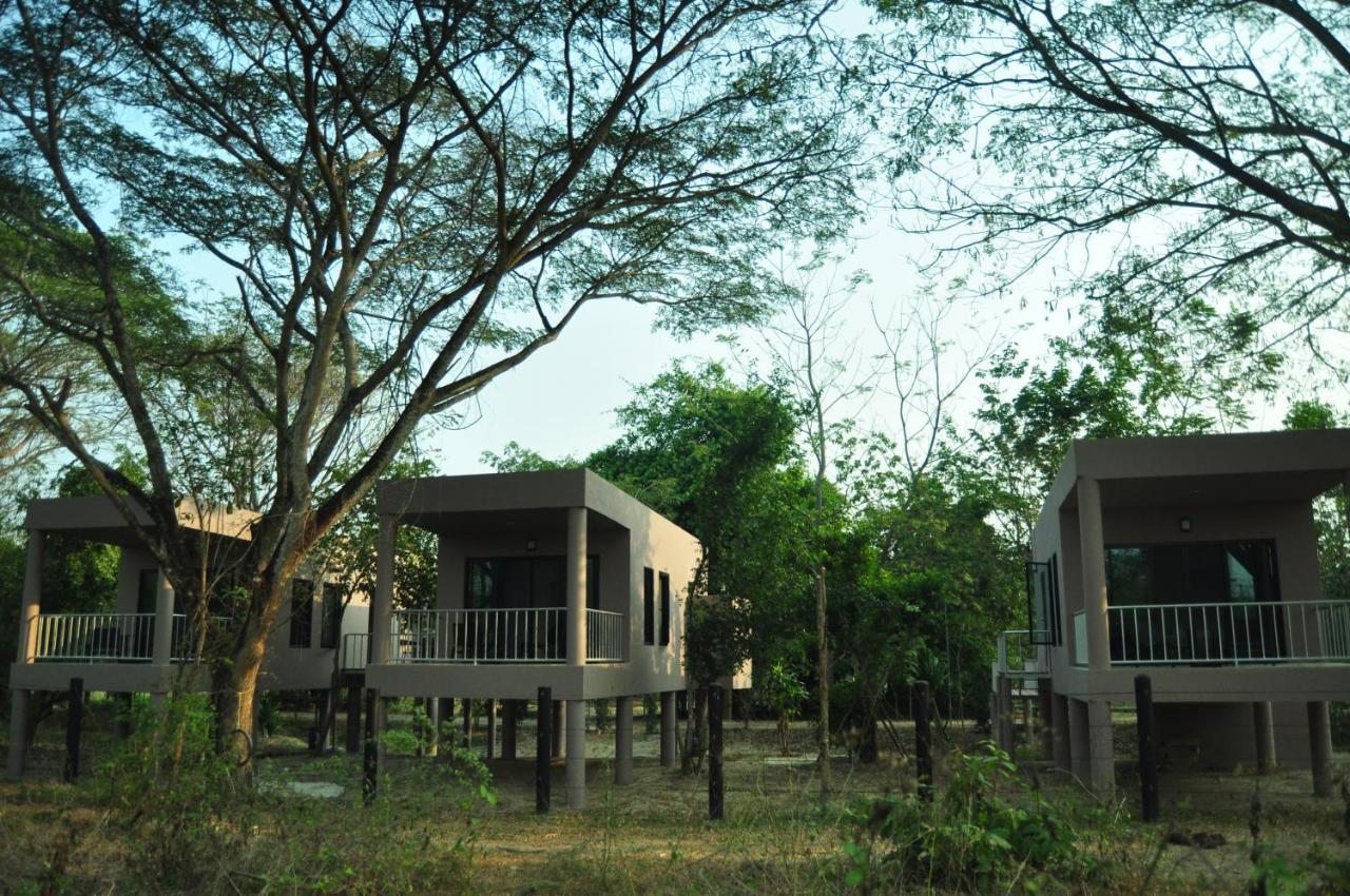 I Love Phants Lodge Ban Huai Thawai Εξωτερικό φωτογραφία