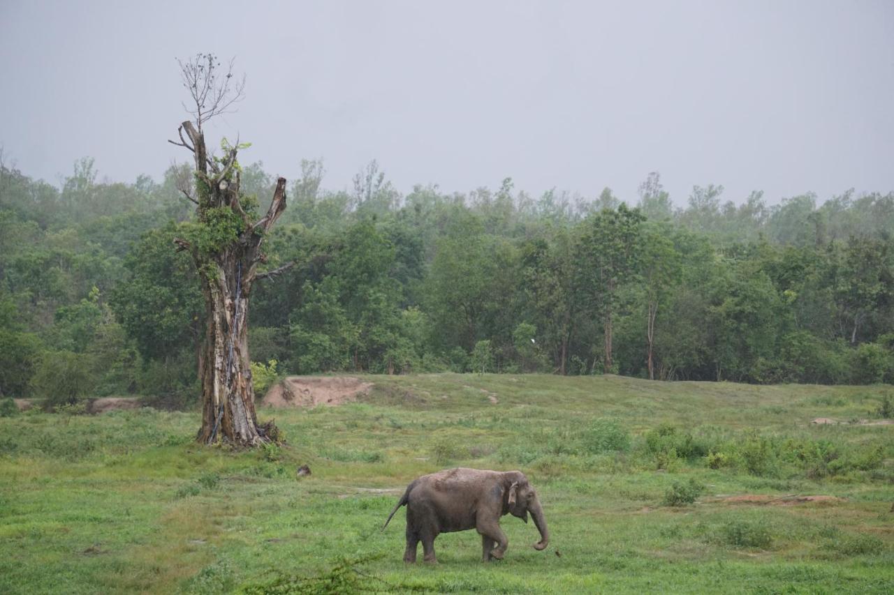 I Love Phants Lodge Ban Huai Thawai Εξωτερικό φωτογραφία