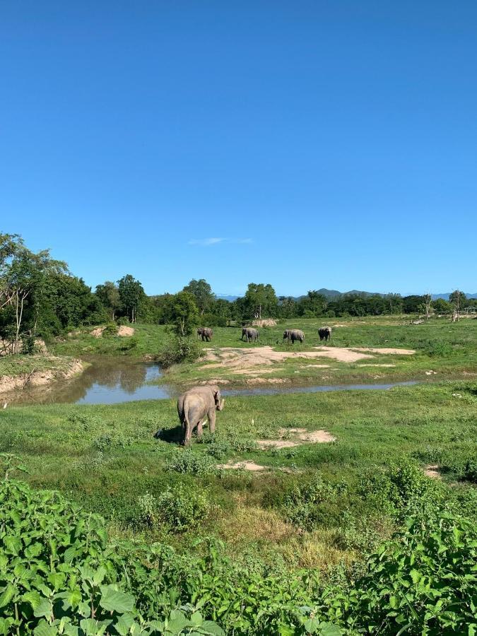 I Love Phants Lodge Ban Huai Thawai Εξωτερικό φωτογραφία