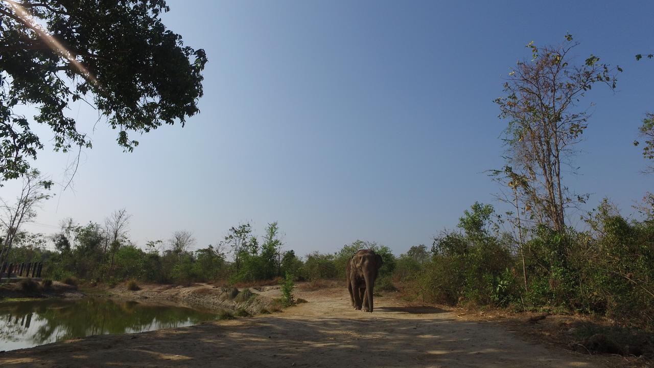I Love Phants Lodge Ban Huai Thawai Εξωτερικό φωτογραφία
